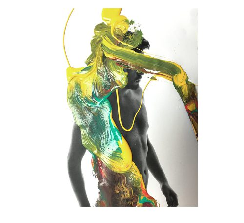 accidental art ray de lion 12